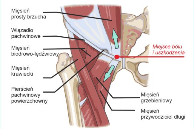 schemat-drWalasek-v1