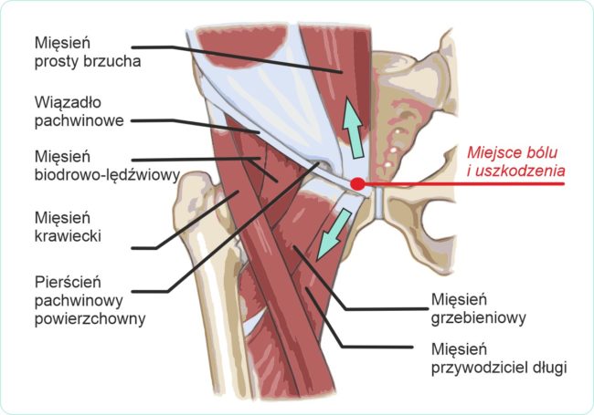 schemat-drWalasek-v1