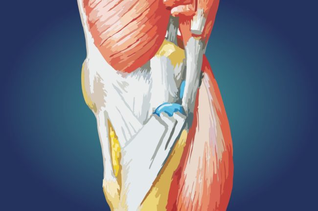Gęsia-stopka-walasek-1