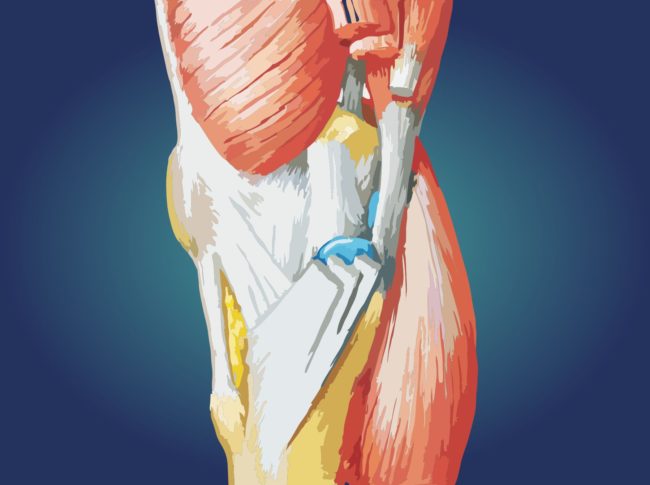 Gęsia-stopka-walasek-1